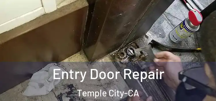  Entry Door Repair Temple City-CA
